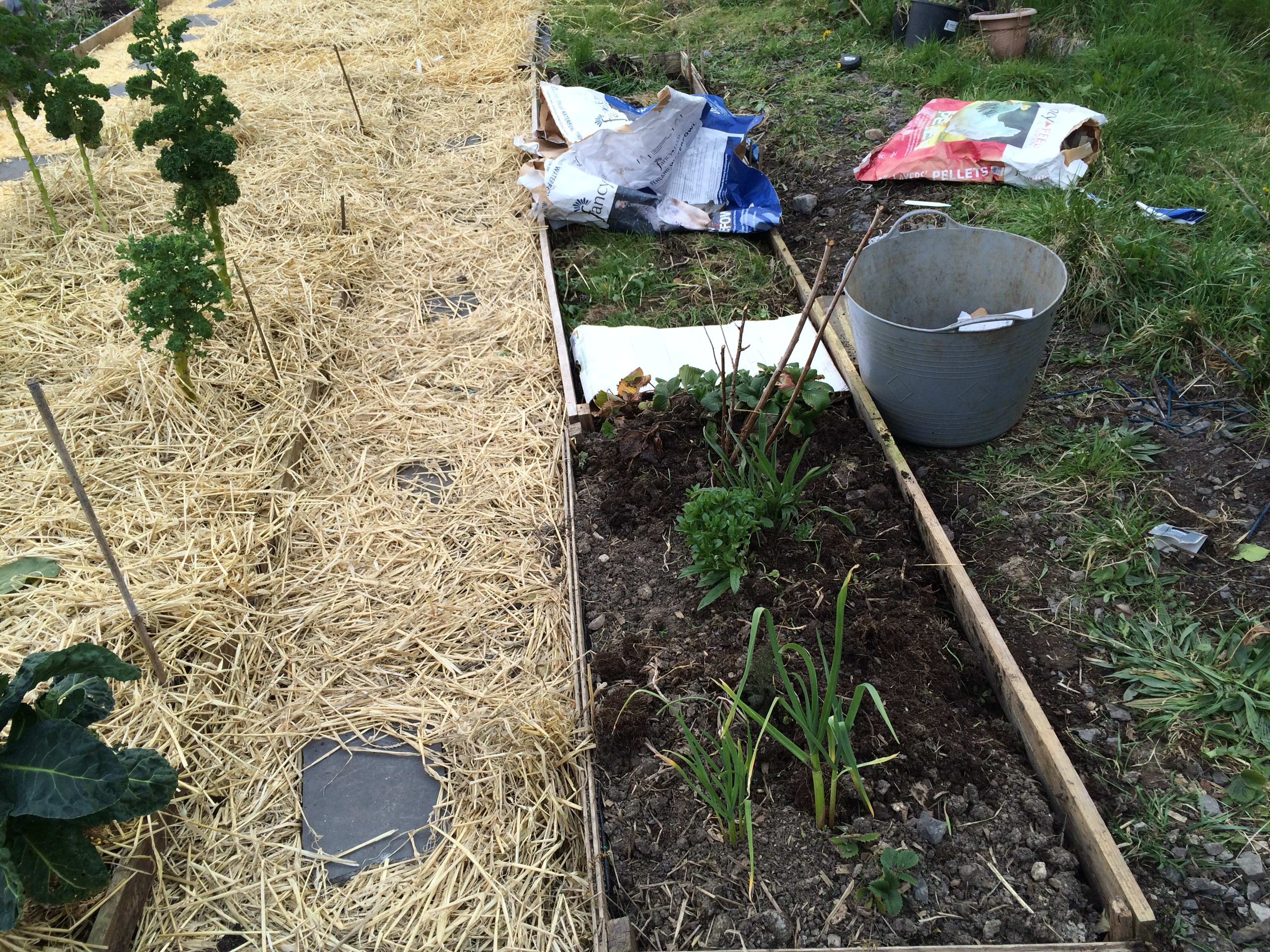 sheet mulching raised beds